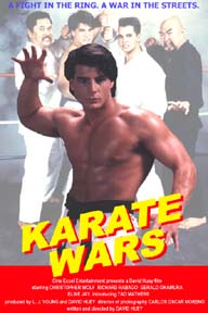 karatewars.jpg