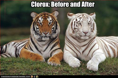 Bleach Tigers